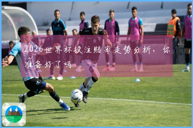 2026世界杯投注赔率走势分析，你准备好了吗