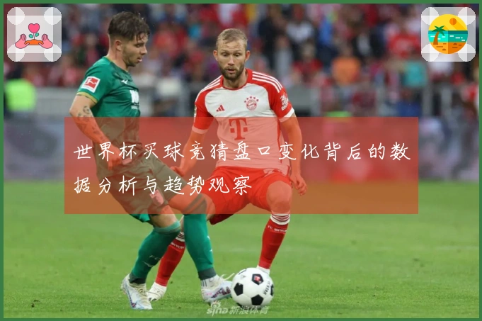 世界杯买球竞猜盘口变化背后的数据分析与趋势观察