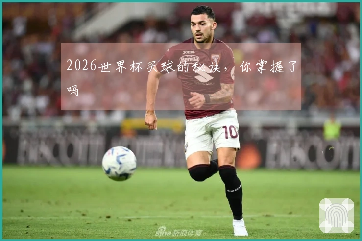 2026世界杯买球的秘诀，你掌握了吗