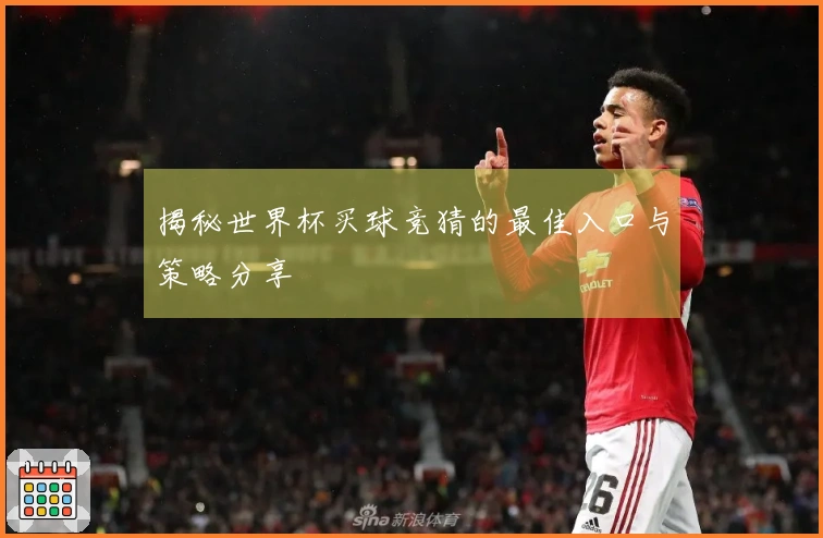 揭秘世界杯买球竞猜的最佳入口与策略分享