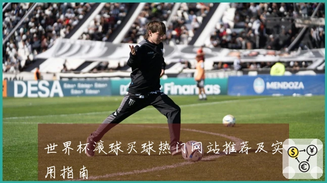 世界杯滚球买球热门网站推荐及实用指南
