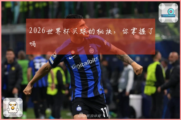 2026世界杯买球的秘诀，你掌握了吗